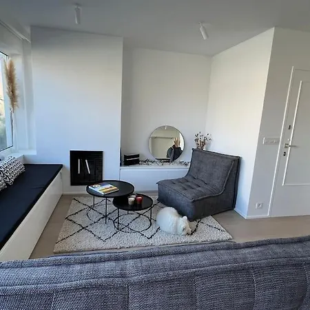 Beautiful Sunny Penthouse