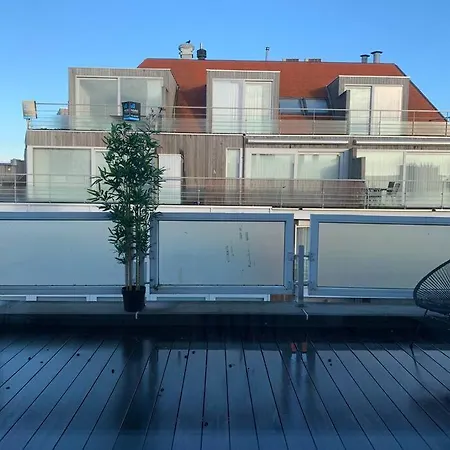 Beautiful Sunny Penthouse