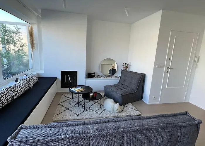 Beautiful Sunny Penthouse